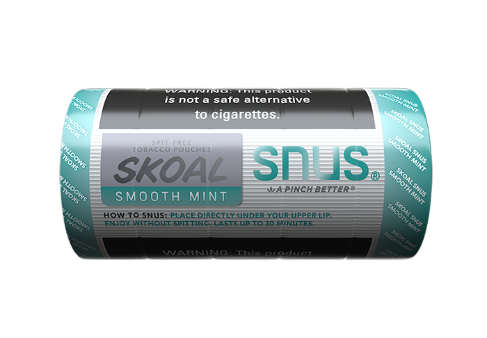 Skoal snus smooth mint 5ct 0.58oz