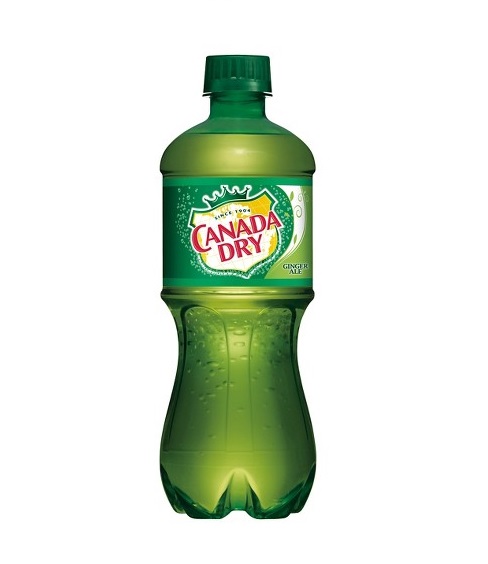 Canada dry ginger ale 24ct 20oz