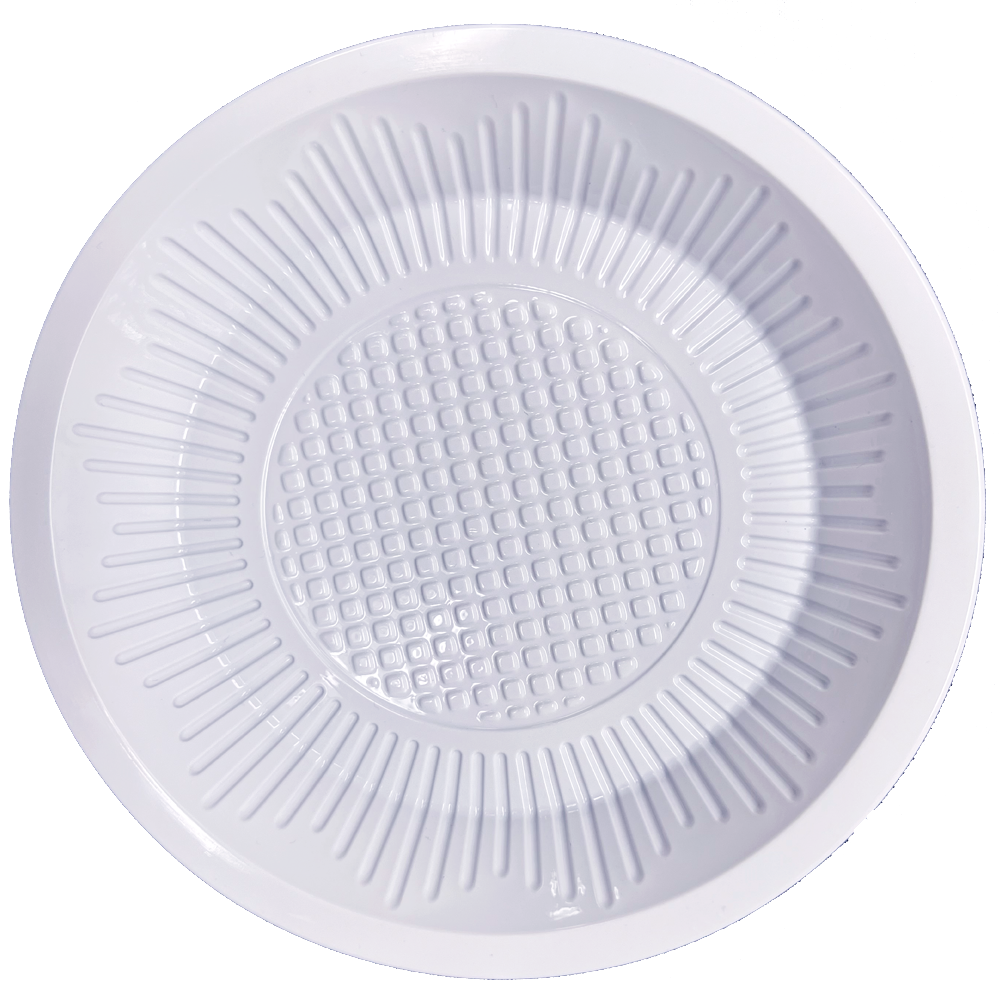 Plastic plates 10.25